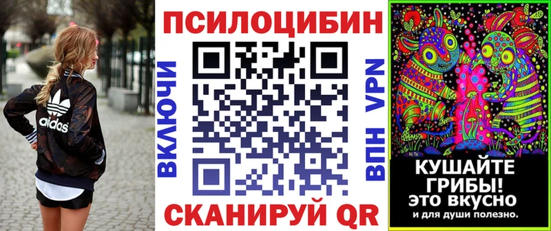 Купить где  Копейск  Псилоцибиновые грибы GOLDEN TEACHER 